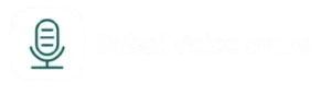 dubai voice over logo